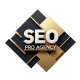 SEO Pro Agency